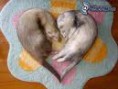 /album/fotogaleria/asdasdsadasdsad-jpg/